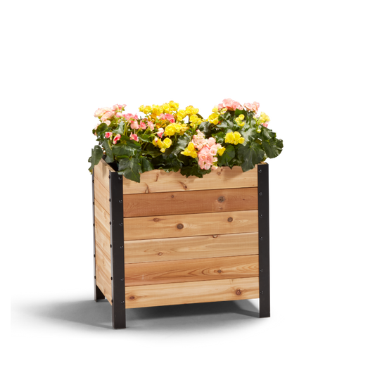 Cedar Planters 18x24 inch planter box 24 inches tall filled with colorful plants on white background 