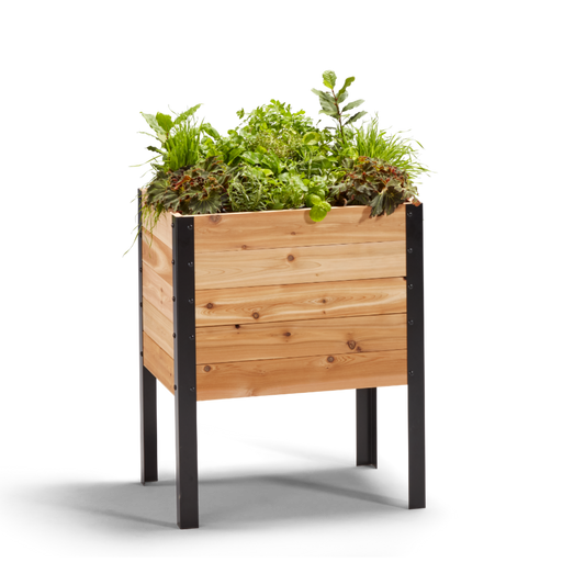 Cedar Planters 18x24 inch raised garden bed 30 inches tall filled with colorful plants on white background 