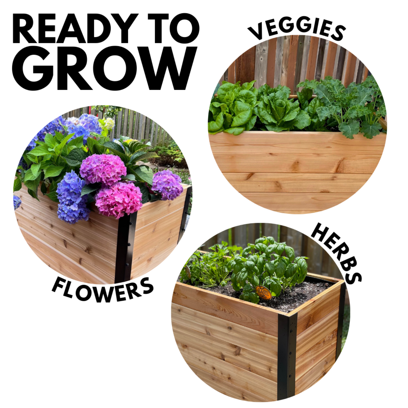 Cedar Planters 18x36 inch planter box with text including ready to grow: three planters shown with vegetables, flowers, and herbs