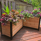 Cedar planter boxes with colorful  plants on a wooden deck in a backyard setting.