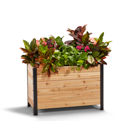 Cedar Planters 18x36 inch planter box 24 inches tall filled with colorful plants on white background 