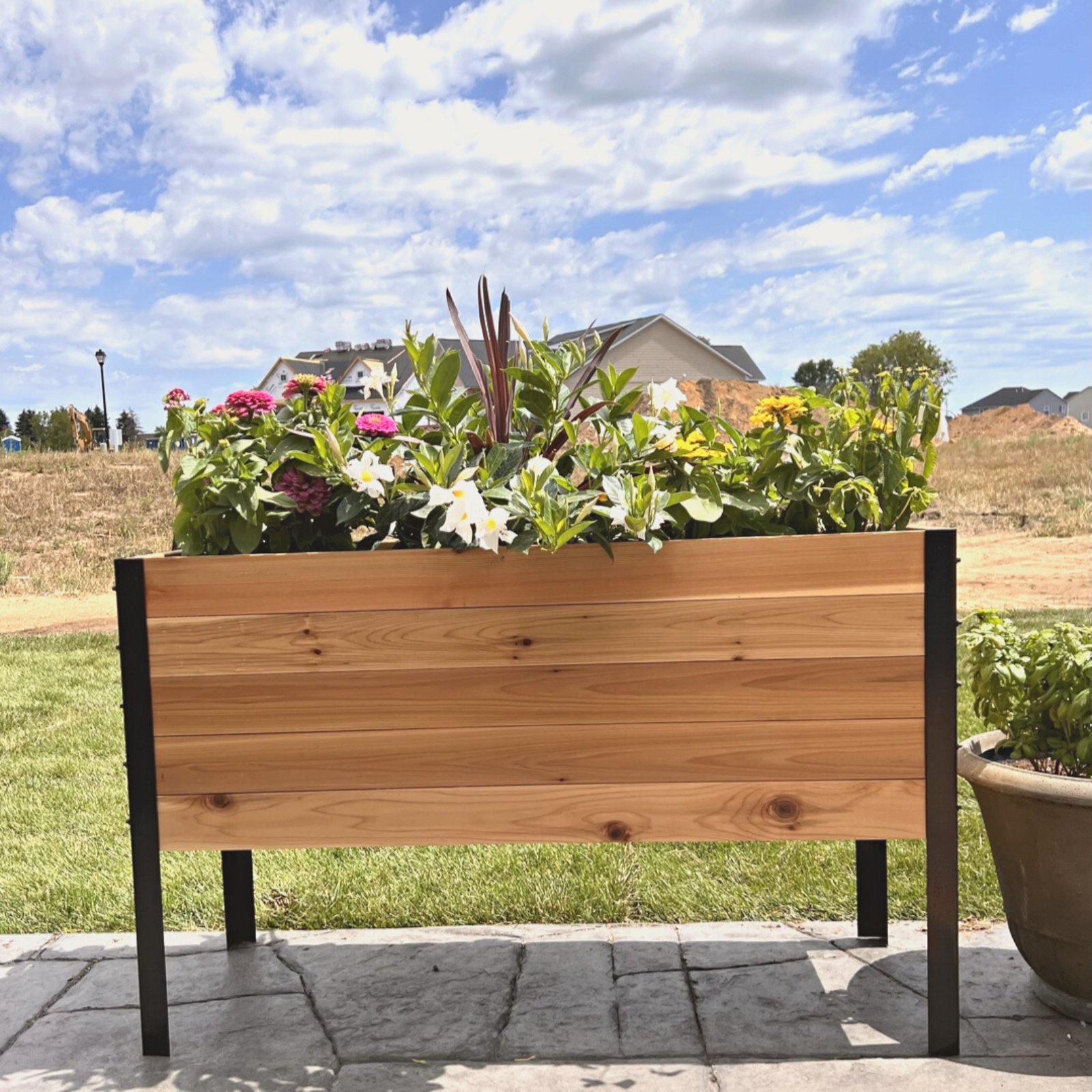 Cedar Planters 18x36 inch raised garden bed with plants in a backyard setting.