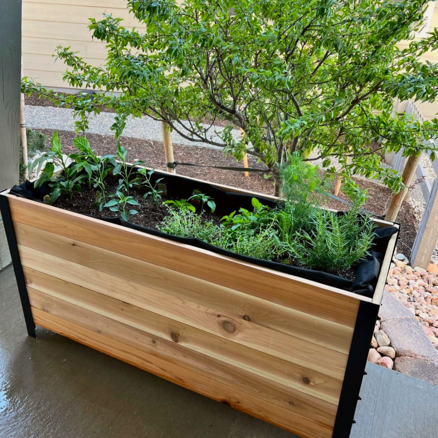 One 18x48 inch planter box with small plants beside in a backyard setting