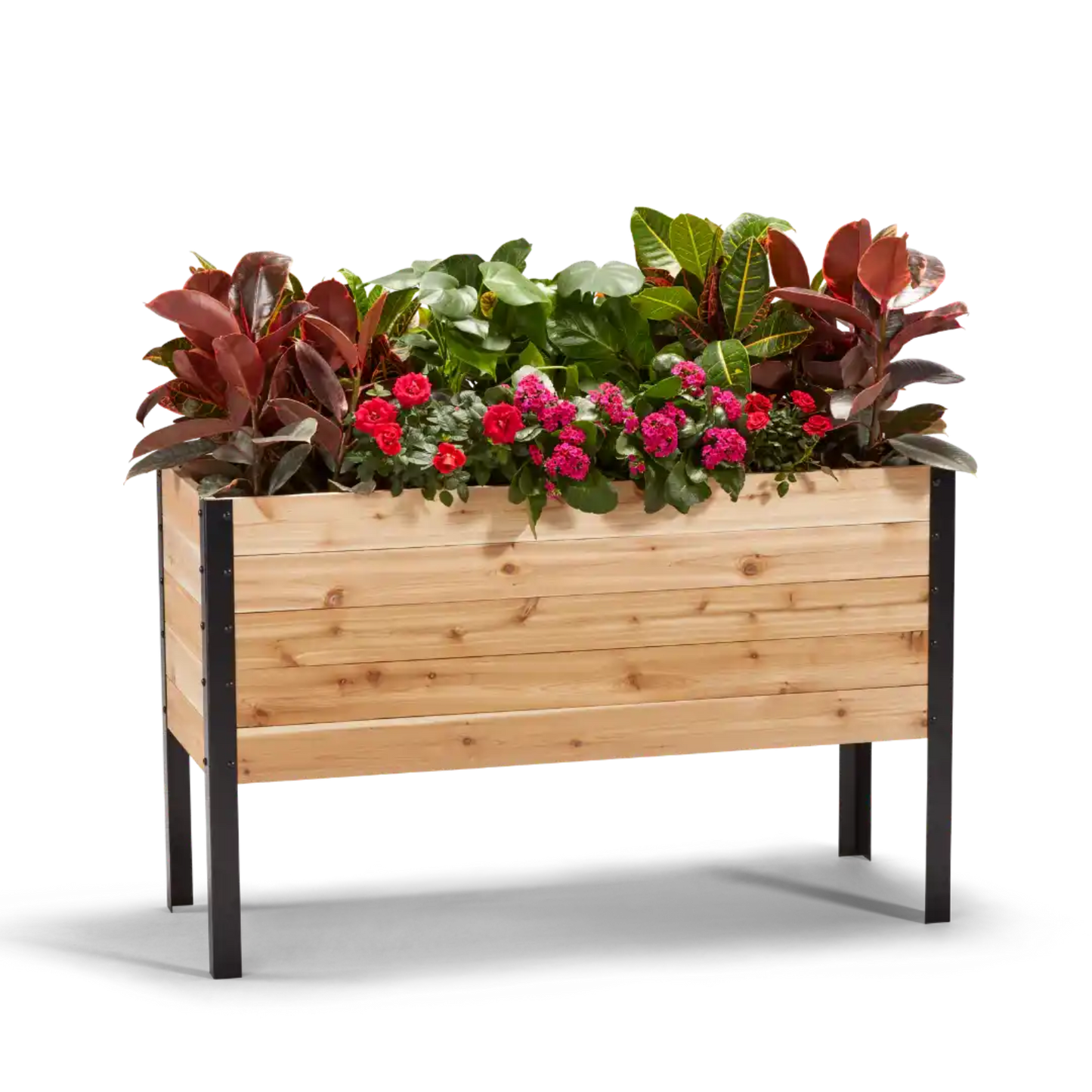 Cedar Planters 18x48 inch raised garden bed 30 inches tall filled with colorful plants on white background 