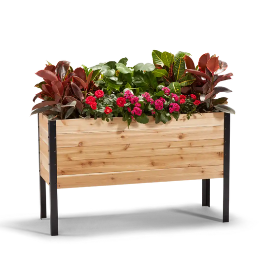 Cedar Planters 18x48 inch raised garden bed 30 inches tall filled with colorful plants on white background 