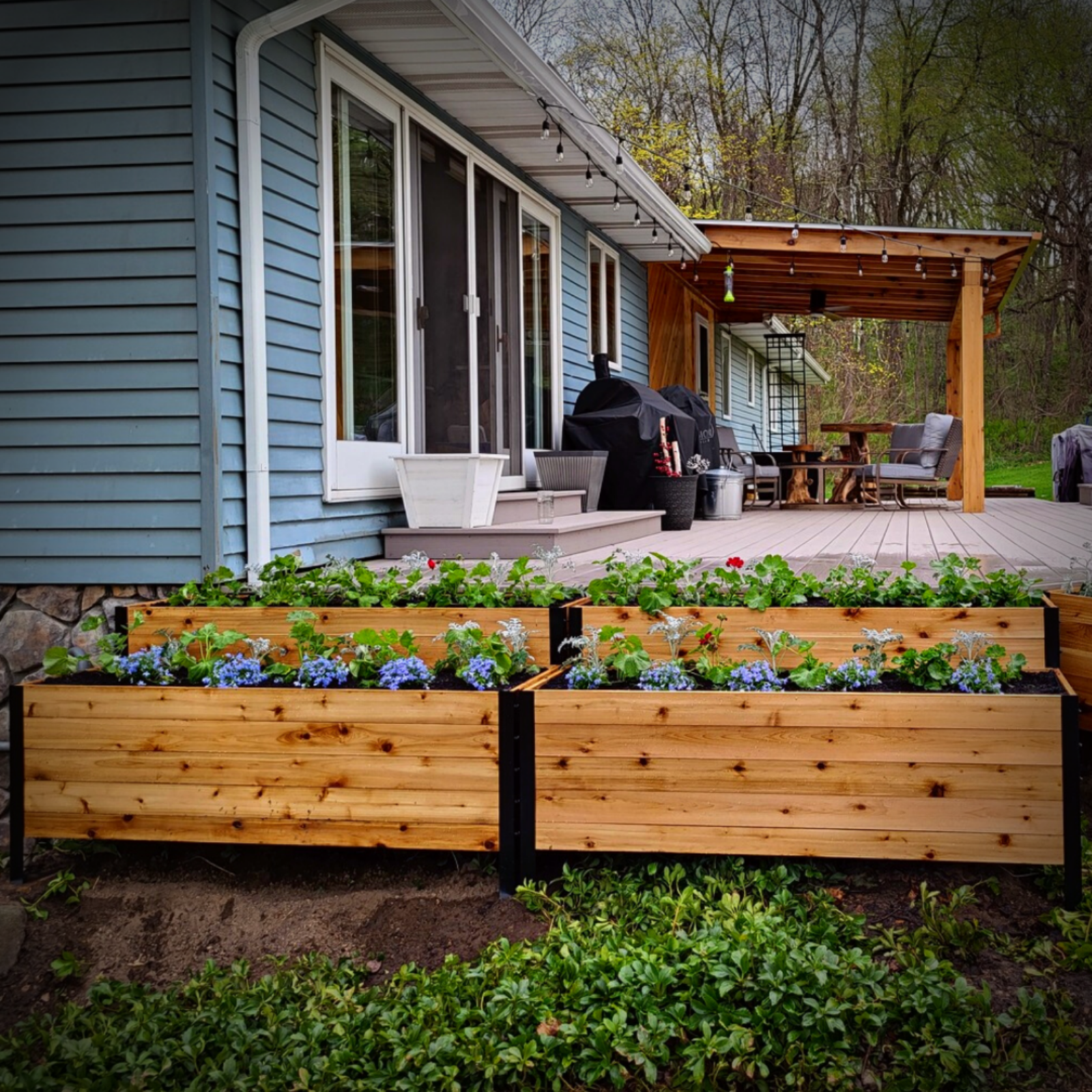 Four  18x60 inch planter boxes filled with colorful flowers in a backyard setting