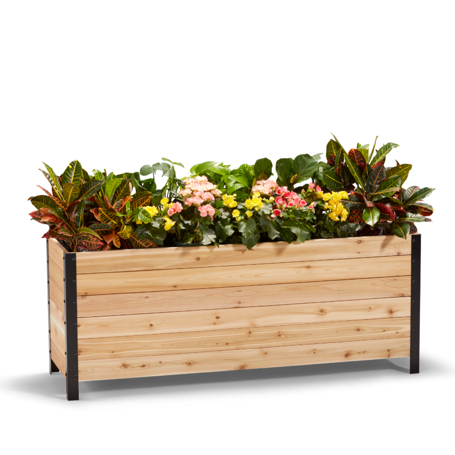 Cedar Planters 18x60 inch planter box 24 inches tall filled with colorful plants on white background 
