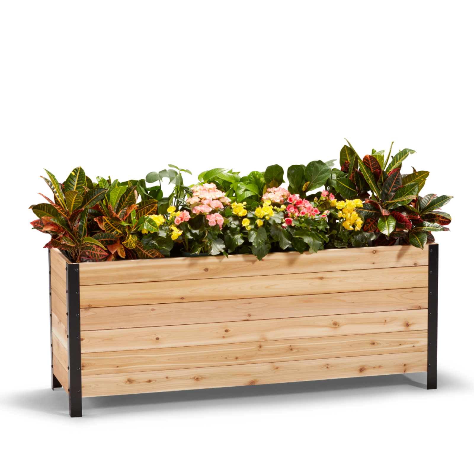 Cedar Planters 18x60 inch planter box 24 inches tall filled with colorful plants on white background 