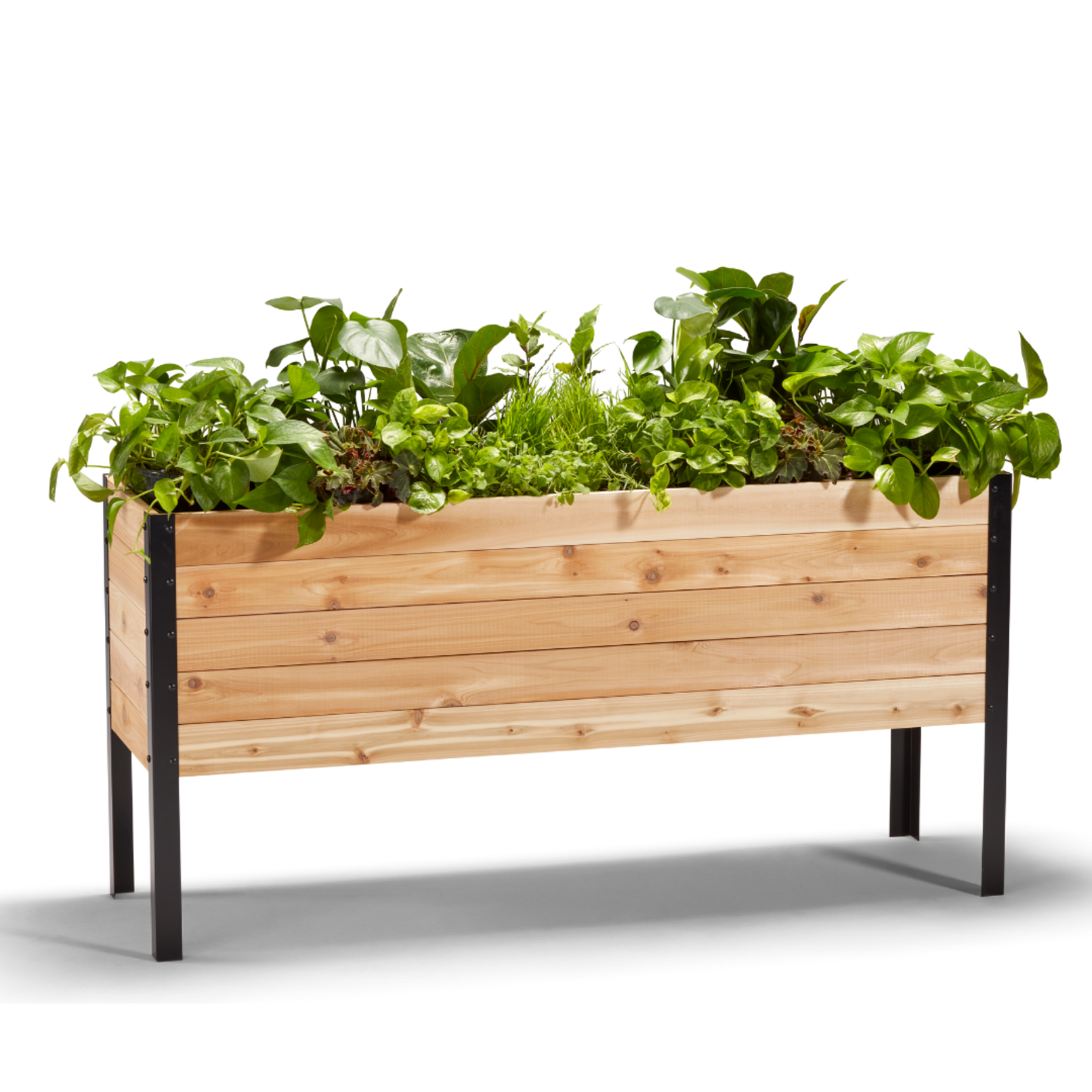 Cedar Planters 18x60 inch planter box 30 inches tall filled with colorful plants on white background 