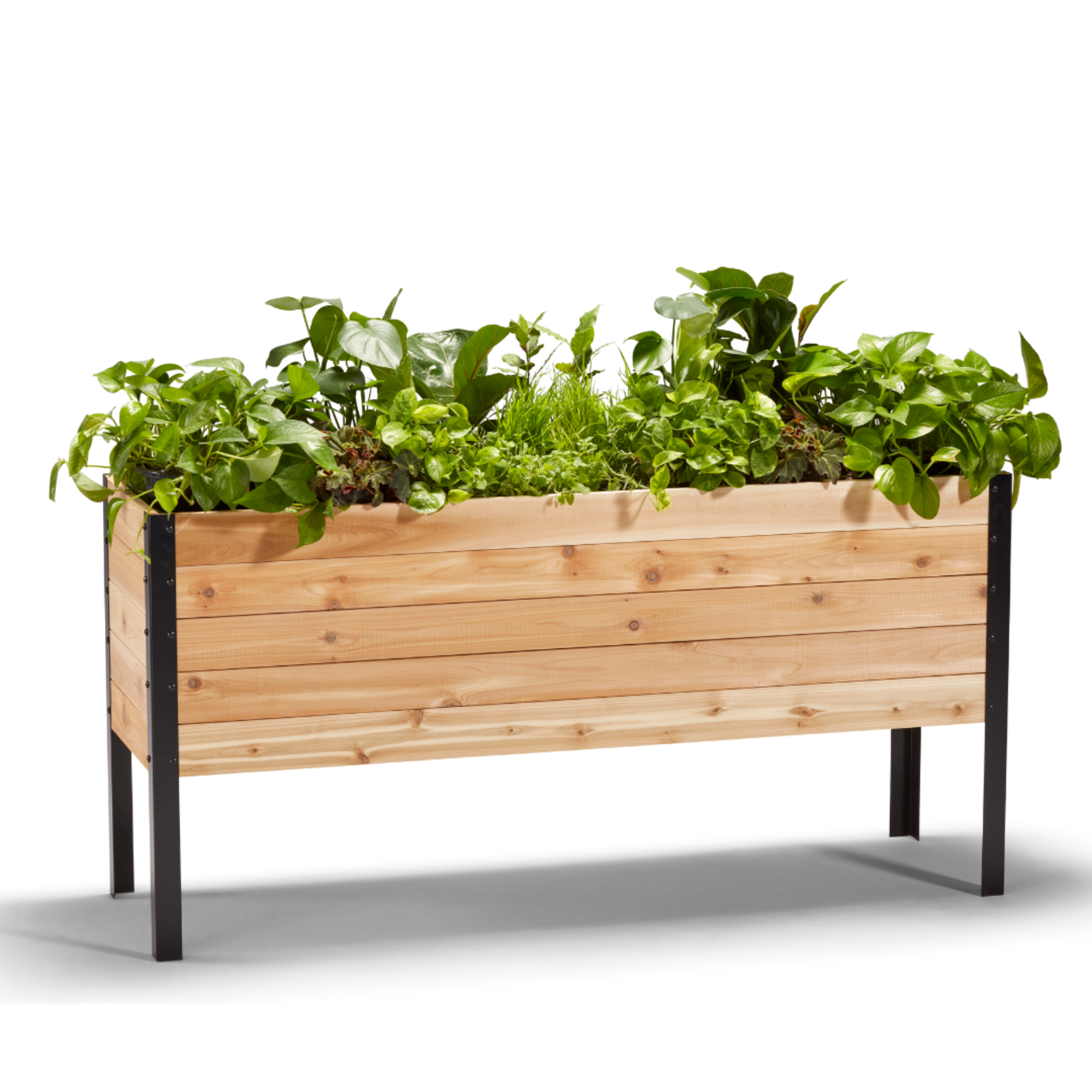Cedar Planters 18x60 inch planter box 30 inches tall filled with colorful plants on white background 