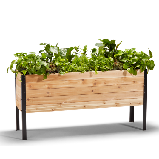 Cedar Planters 18x60 inch planter box 30 inches tall filled with colorful plants on white background 