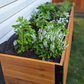 Cedar planter box with herbs and plants against a white wall.