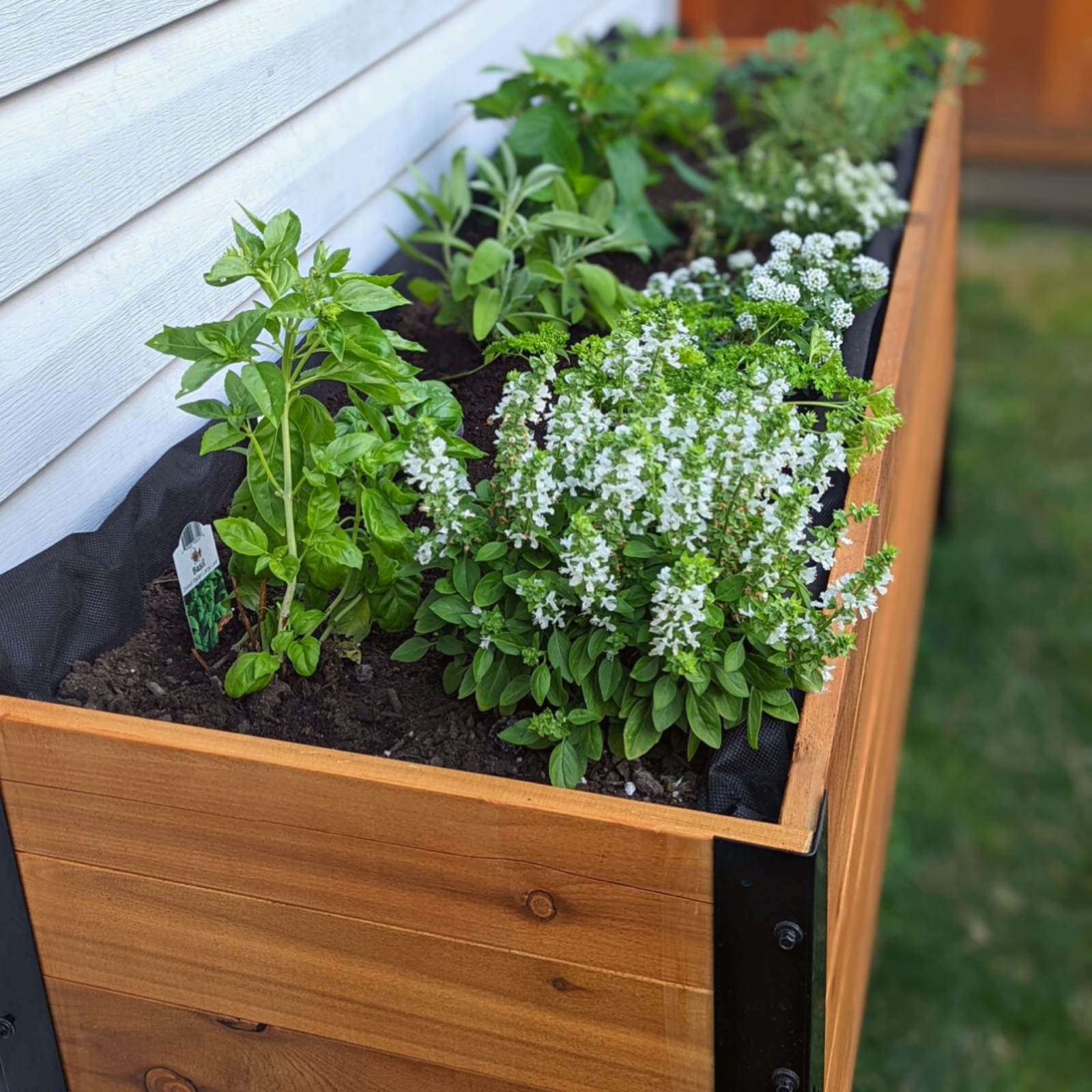 Cedar planter box with herbs and plants against a white wall.