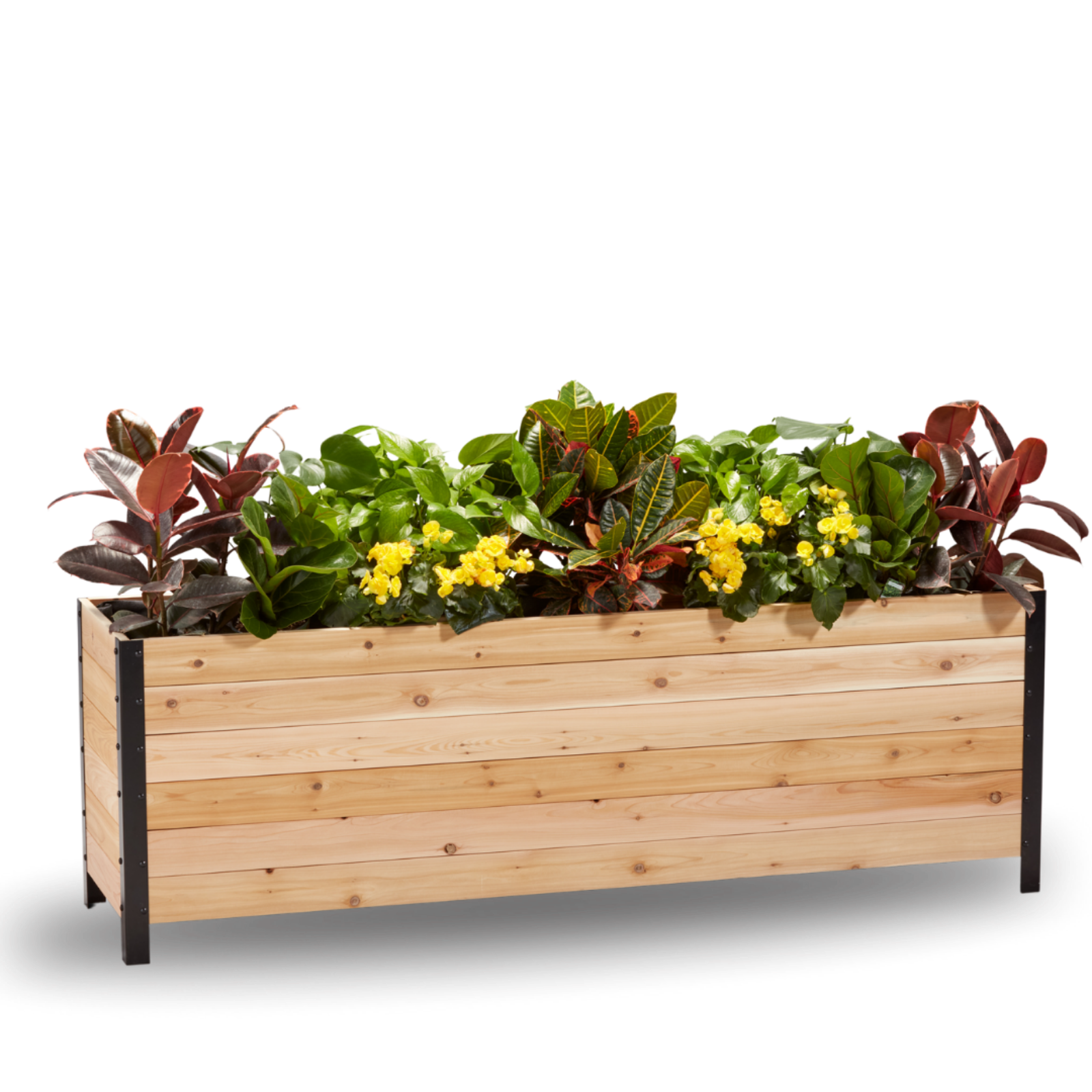 Cedar Planters 18x72 inch planter box 24 inches tall filled with colorful plants on white background 