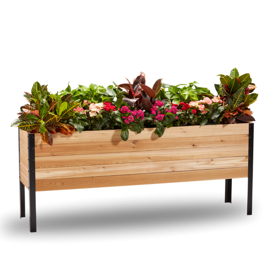 Cedar Planters 18x72 inch raised garden bed 30 inches tall filled with colorful plants on white background 