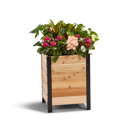 Cedar Planters 18x18 inch planter box 24 inches tall filled with colorful plants on white background 