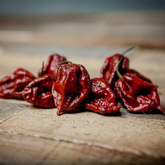 Chocolate Fever Pepper Seed Collection