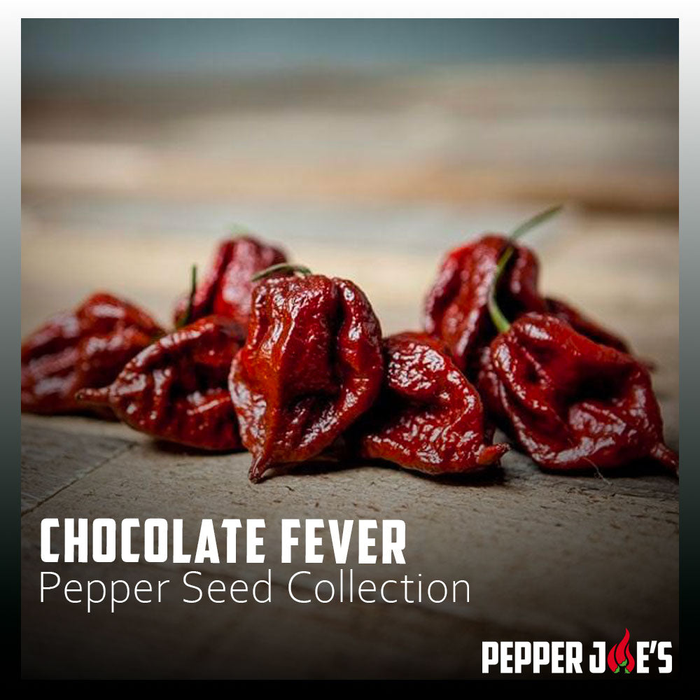 Chocolate Fever Pepper Seed Collection