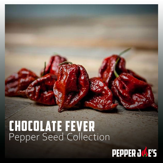 Chocolate Fever Pepper Seed Collection