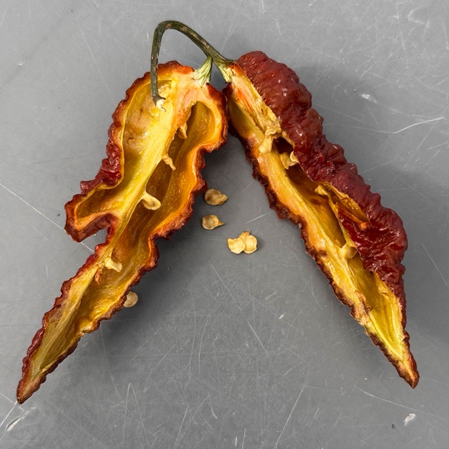 Chocolate Ghost Pepper Seeds