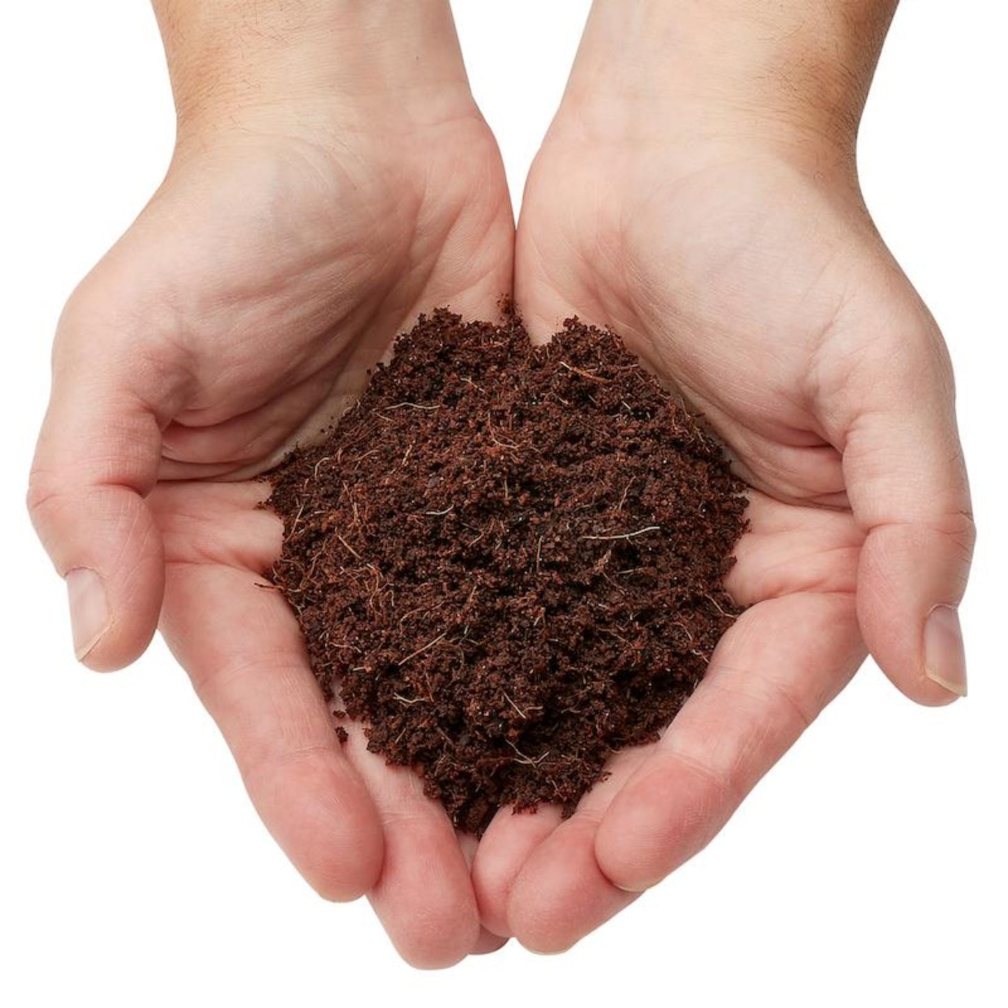 Hands holding a small amount of Coco Coir a white background