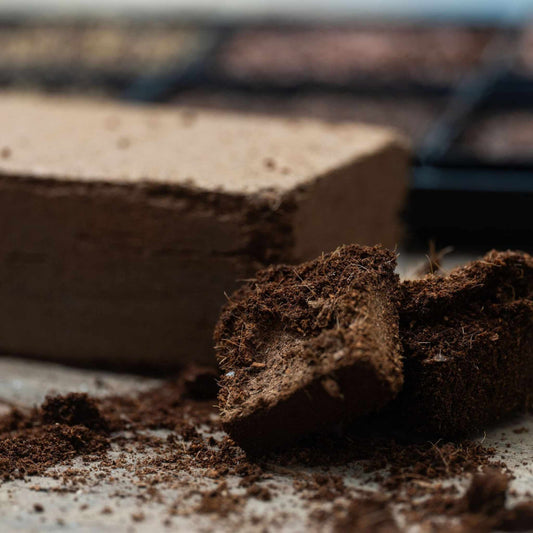 broken up coco coir growing medium
