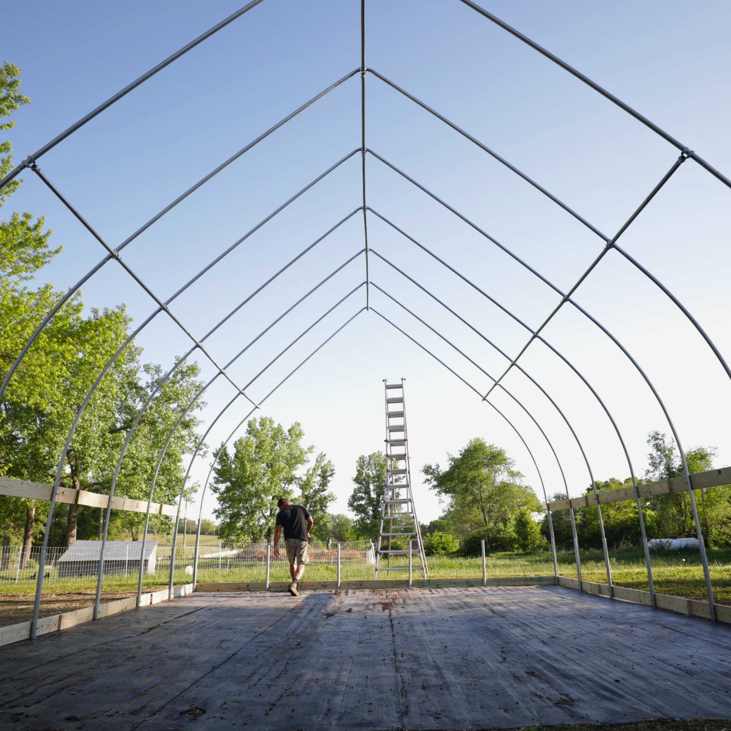 Person walking through a large greenhouse structure with Purlins installed with a ladder in the background without the exterior walls installed.