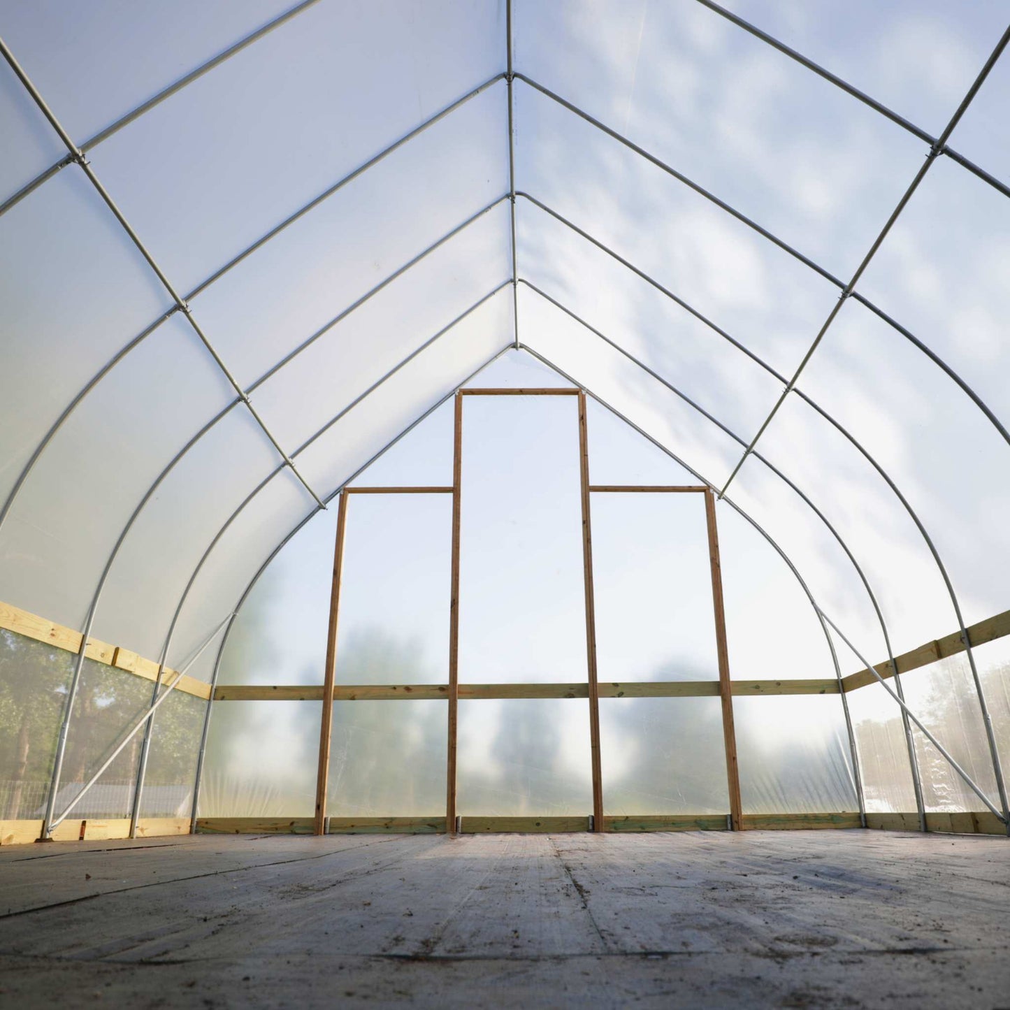 Interior of a DIY Gothic Hoop House with a clear plastic roof and walls with wind braced installed.