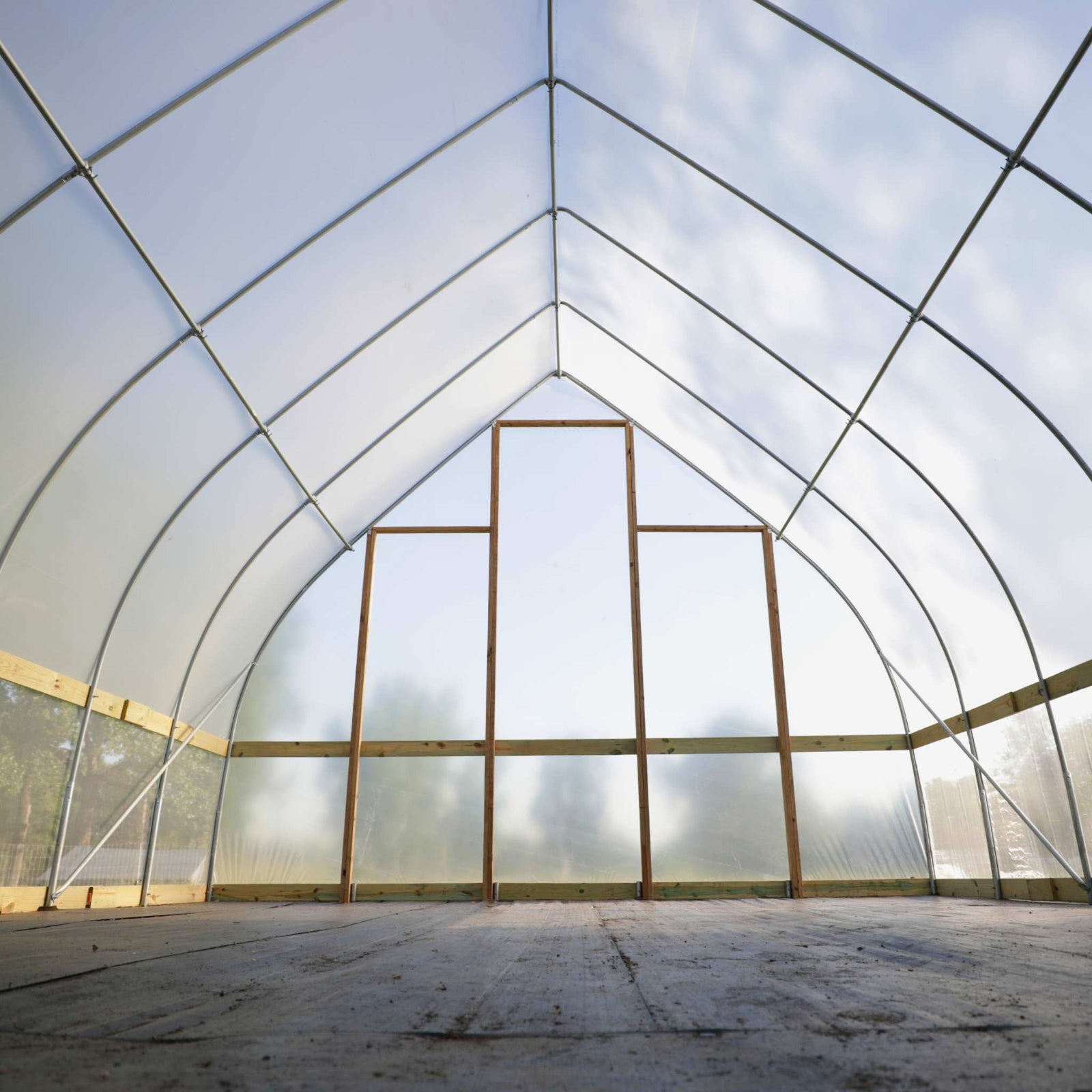 Interior of a DIY Gothic Hoop House with a clear plastic roof and walls with wind braced installed.