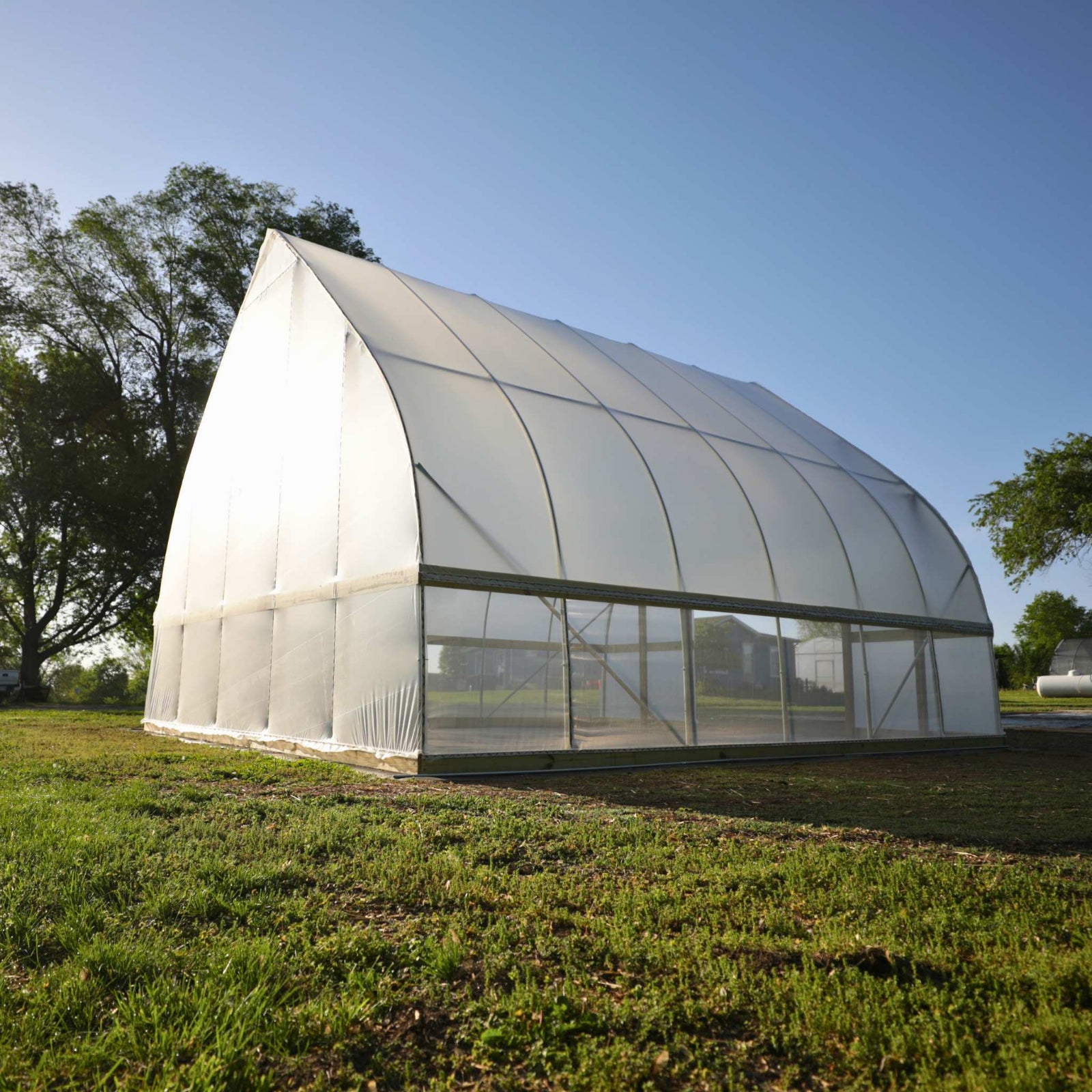 Exterior rear view of a DIY Gothic Hoop House with a clear plastic exterior in an outdoor setting.