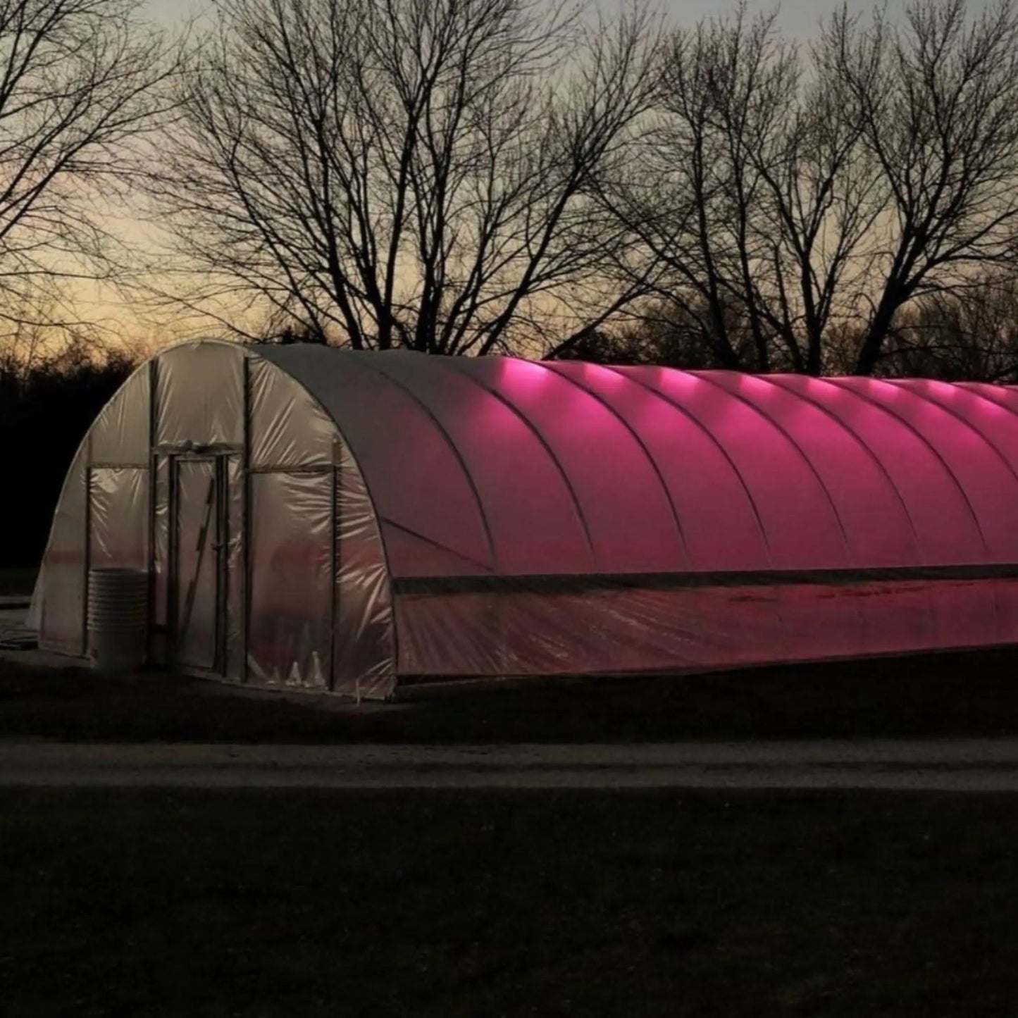 Greenhouse with interior grow lights at dusk, surrounded by leafless trees.