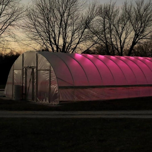 Greenhouse with interior grow lights at dusk, surrounded by leafless trees.