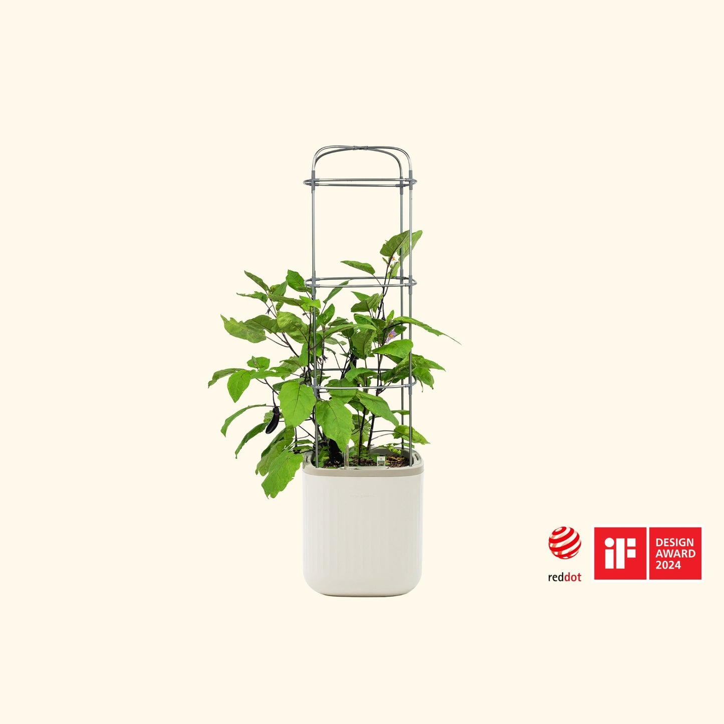Potted tomato plant with a metal trellis in the cream white EZ self watering planter on a white background, featuring Red Dot Design Award logo.