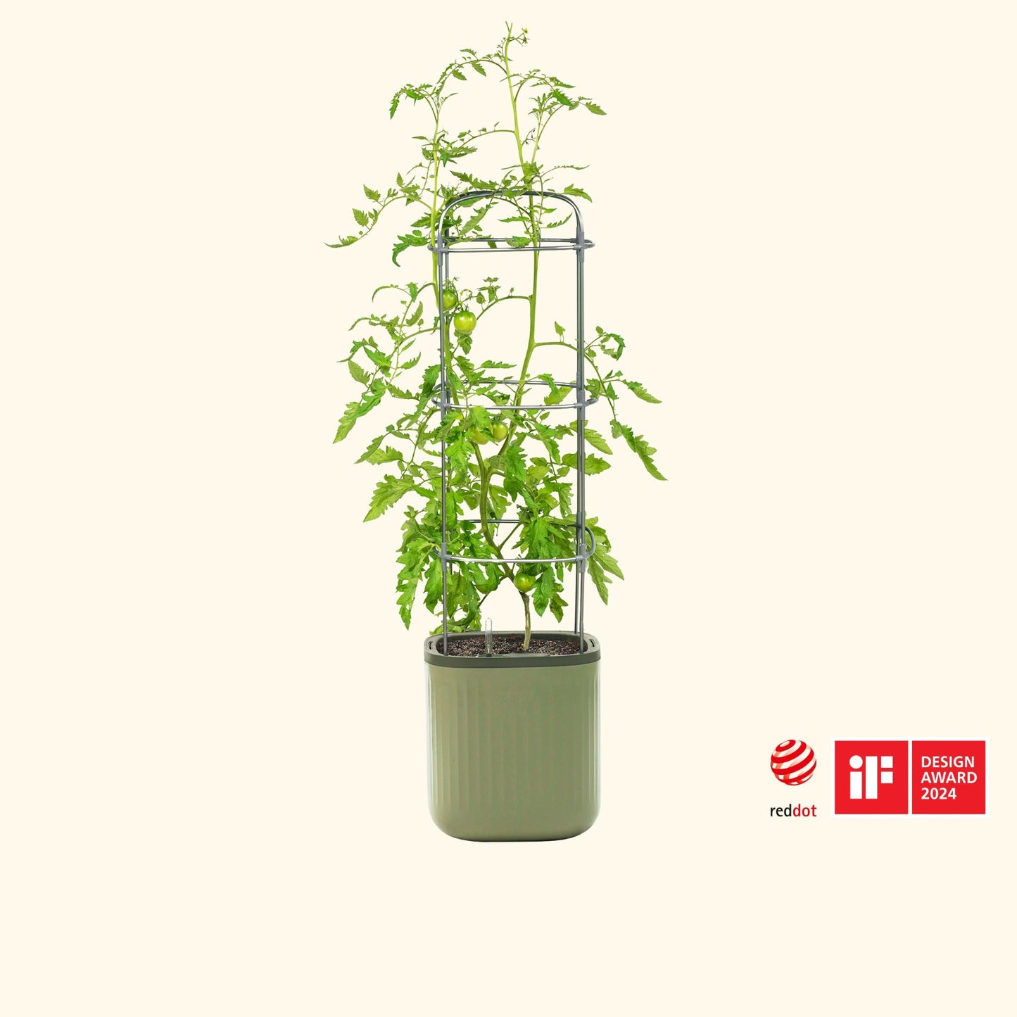 Potted tomato plant with a metal trellis in the sage green EZ self watering planter on a white background, featuring Red Dot Design Award logo.