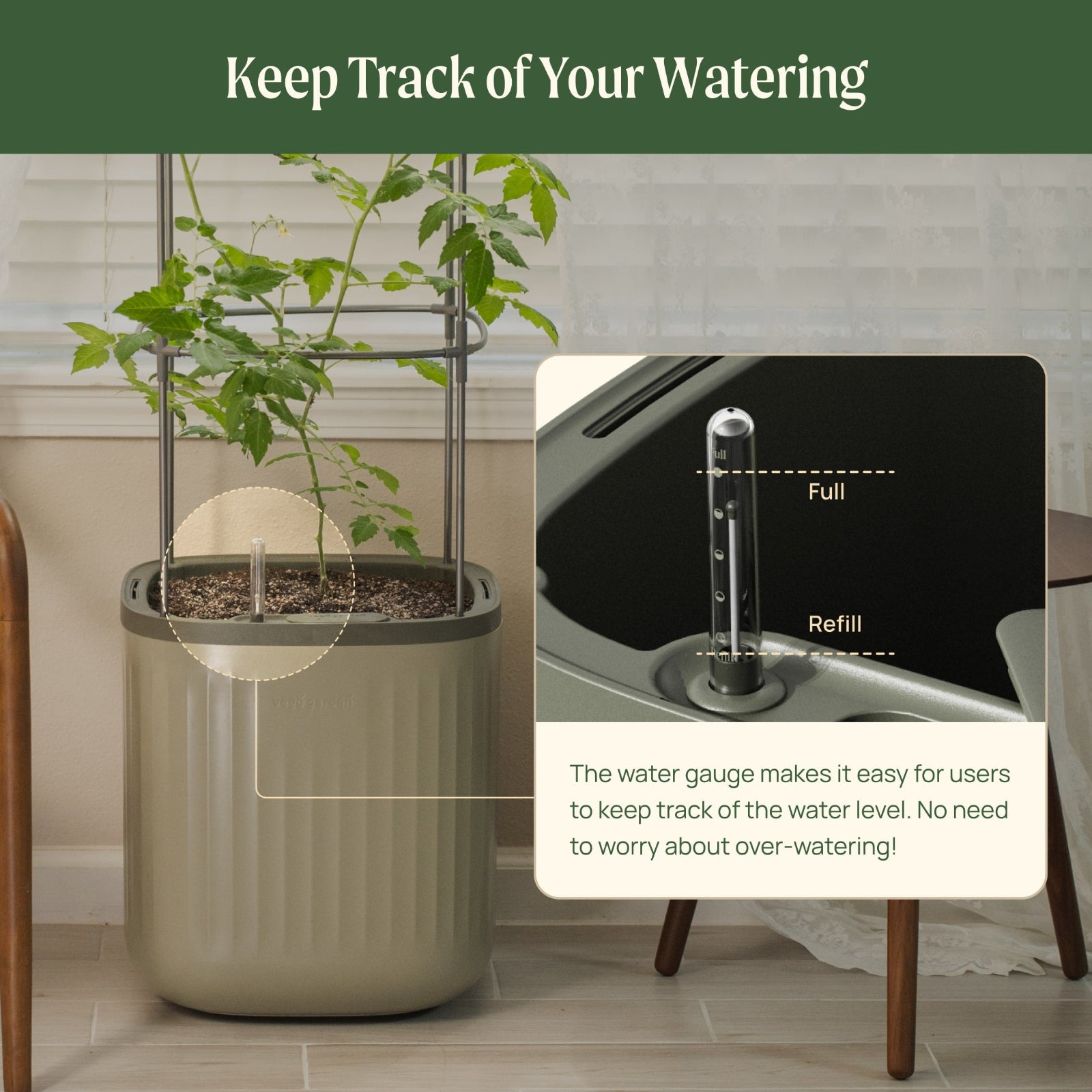 EZ Self-watering tomato planter with trellis with water gauge for tracking watering needs, placed indoors.