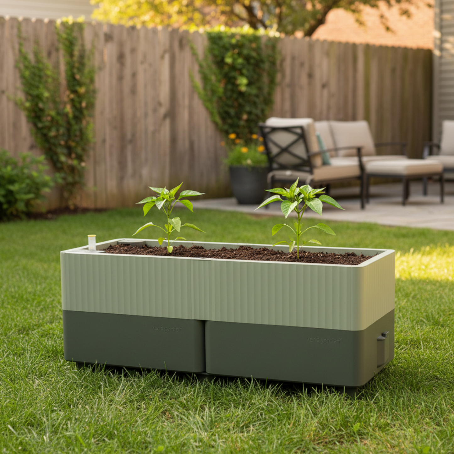 EZCube Self-Watering Planter – 21″ x 48″  with  young pepper plants in a backyard