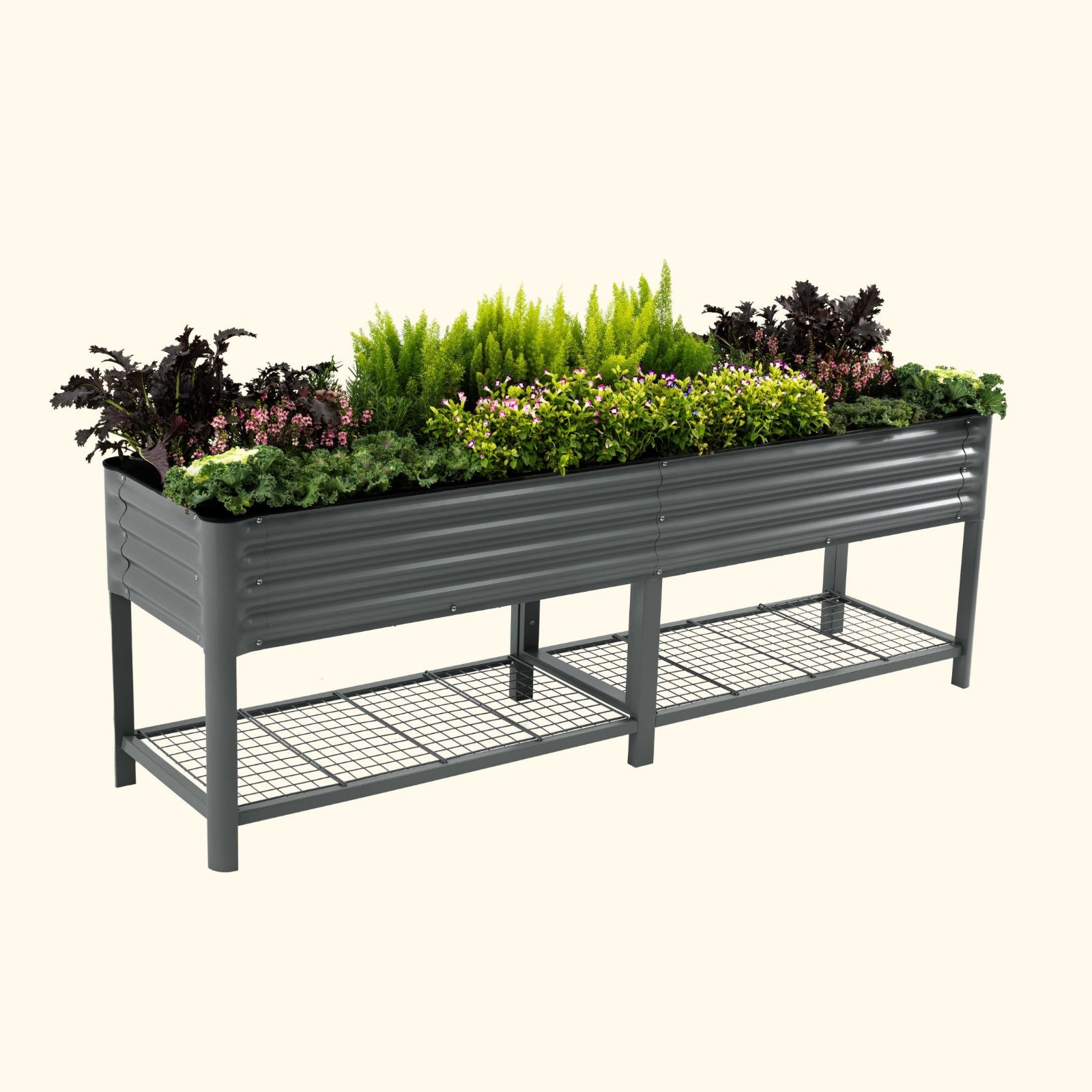 Modern Gray elevated metal garden bed with plants on a white background