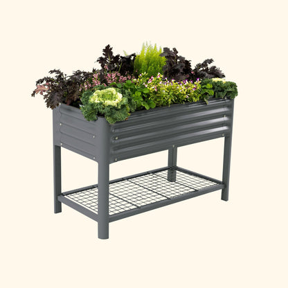 A modern gray elevated garden bed with color plants inside on a white background.