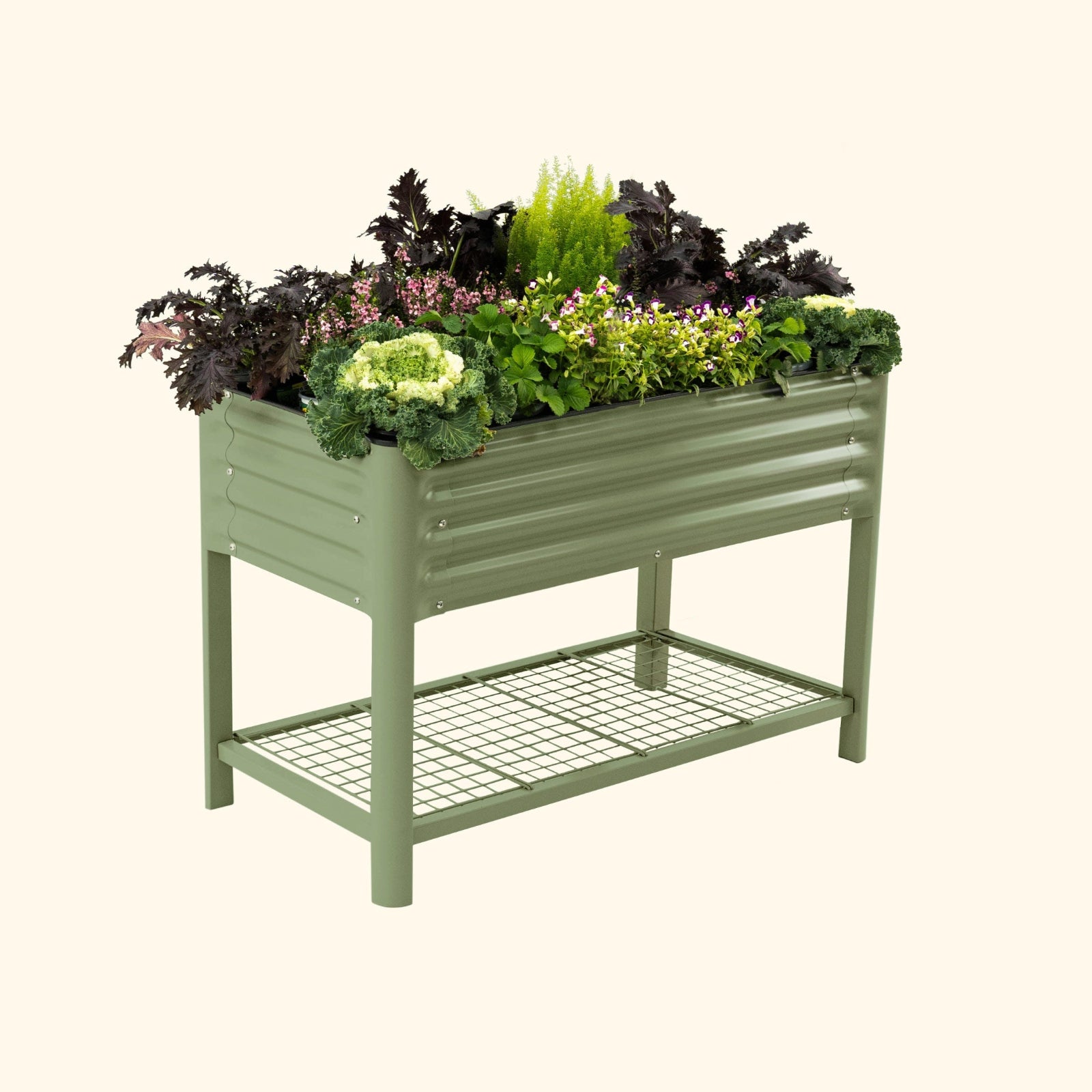 An olive green elevated garden bed with color plants inside on a white background.