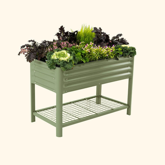 An olive green elevated garden bed with color plants inside on a white background.