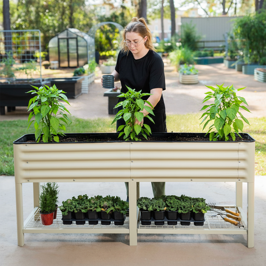 Person tending to pepper plants in a pearl white raised garden bed outdoors.