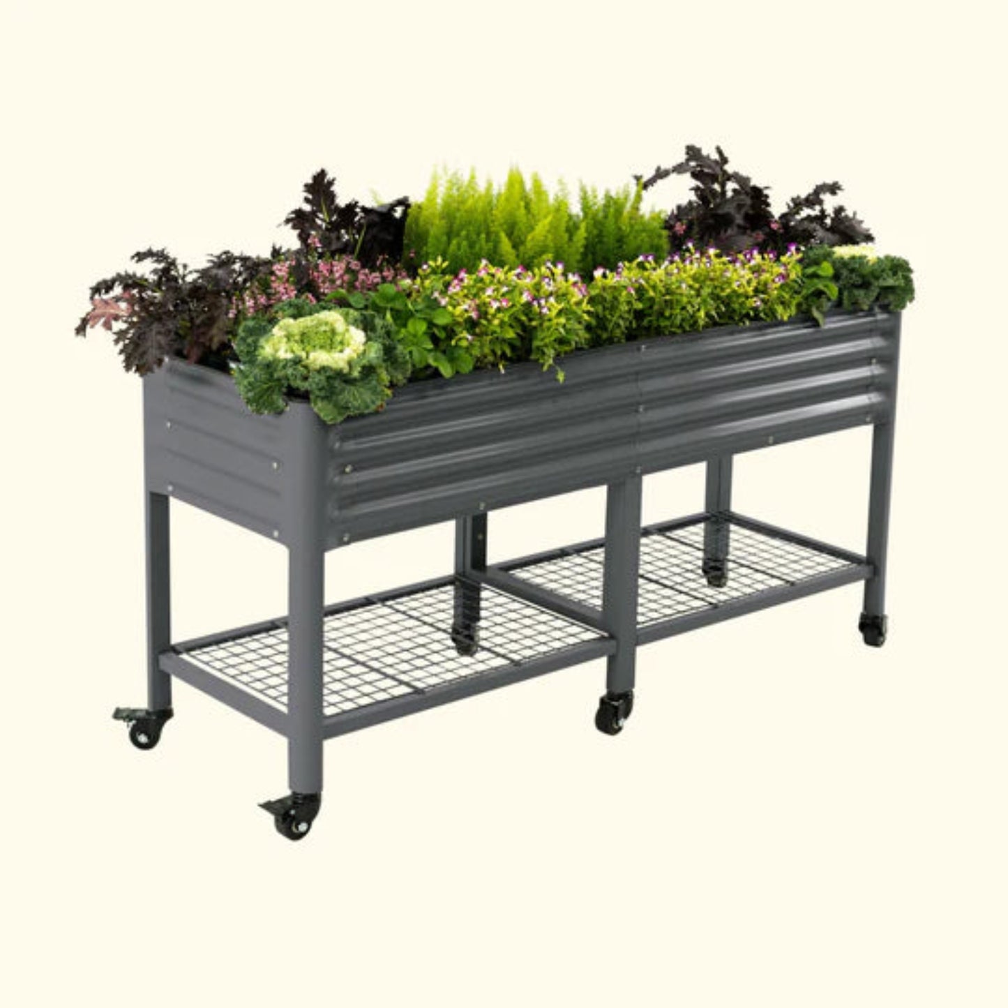 Modern gray elevated metal garden bed with wheels with plants on a white background