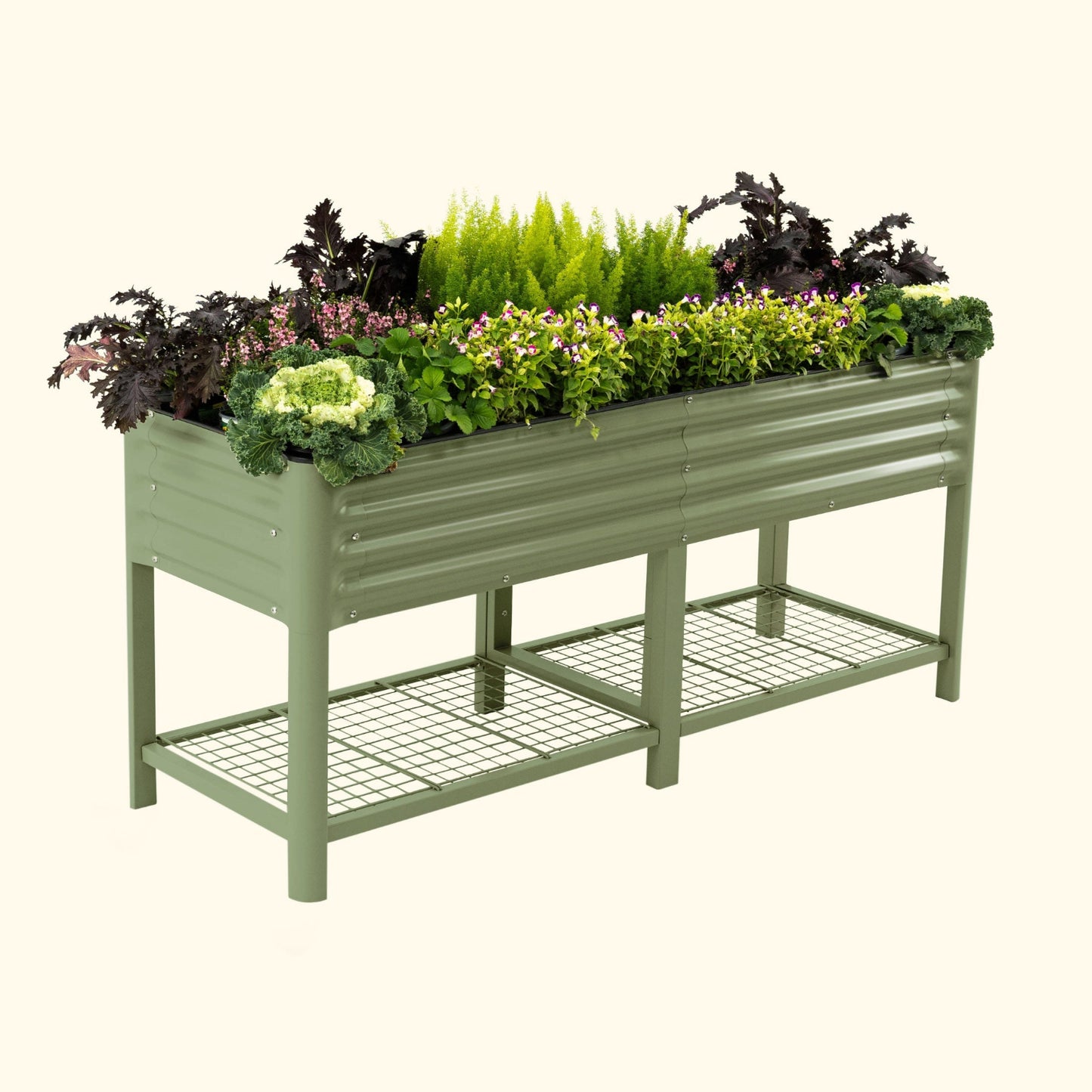 An olive green elevated garden bed with color plants inside on a white background.
