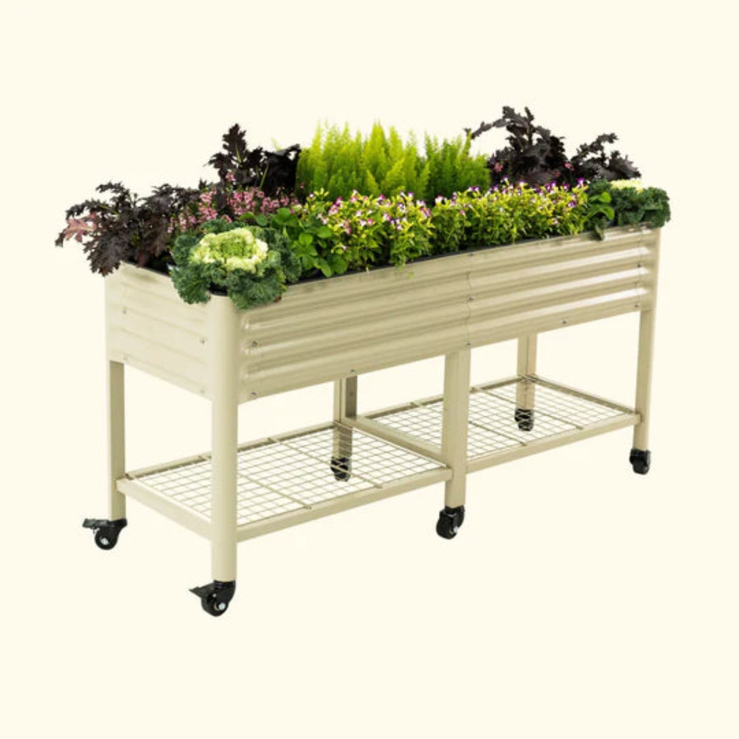 Pearl white elevated metal garden bed with wheels with plants on a white background