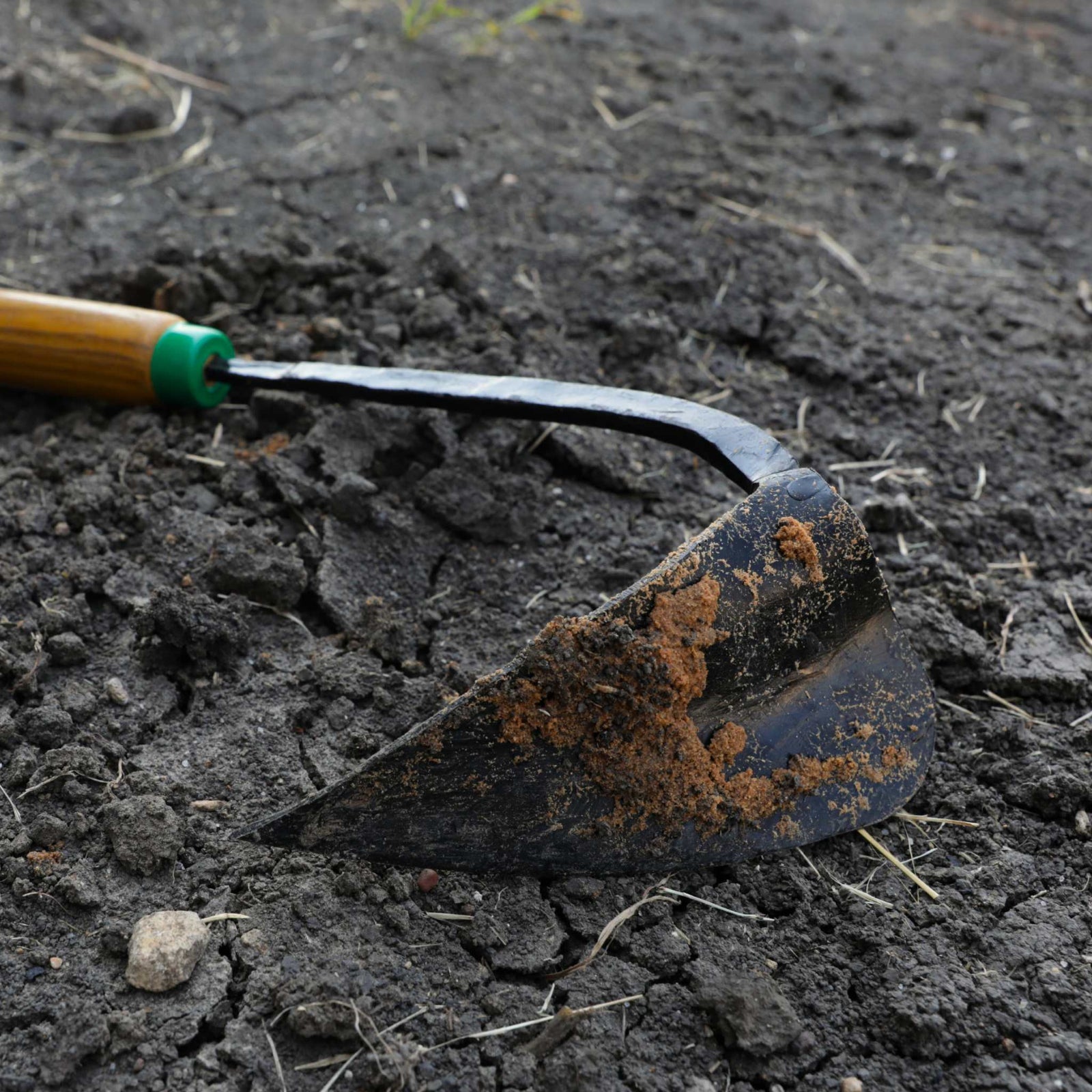 Close up of dirt on the EZ-Digger Korean triangle blade tool in use in a garden