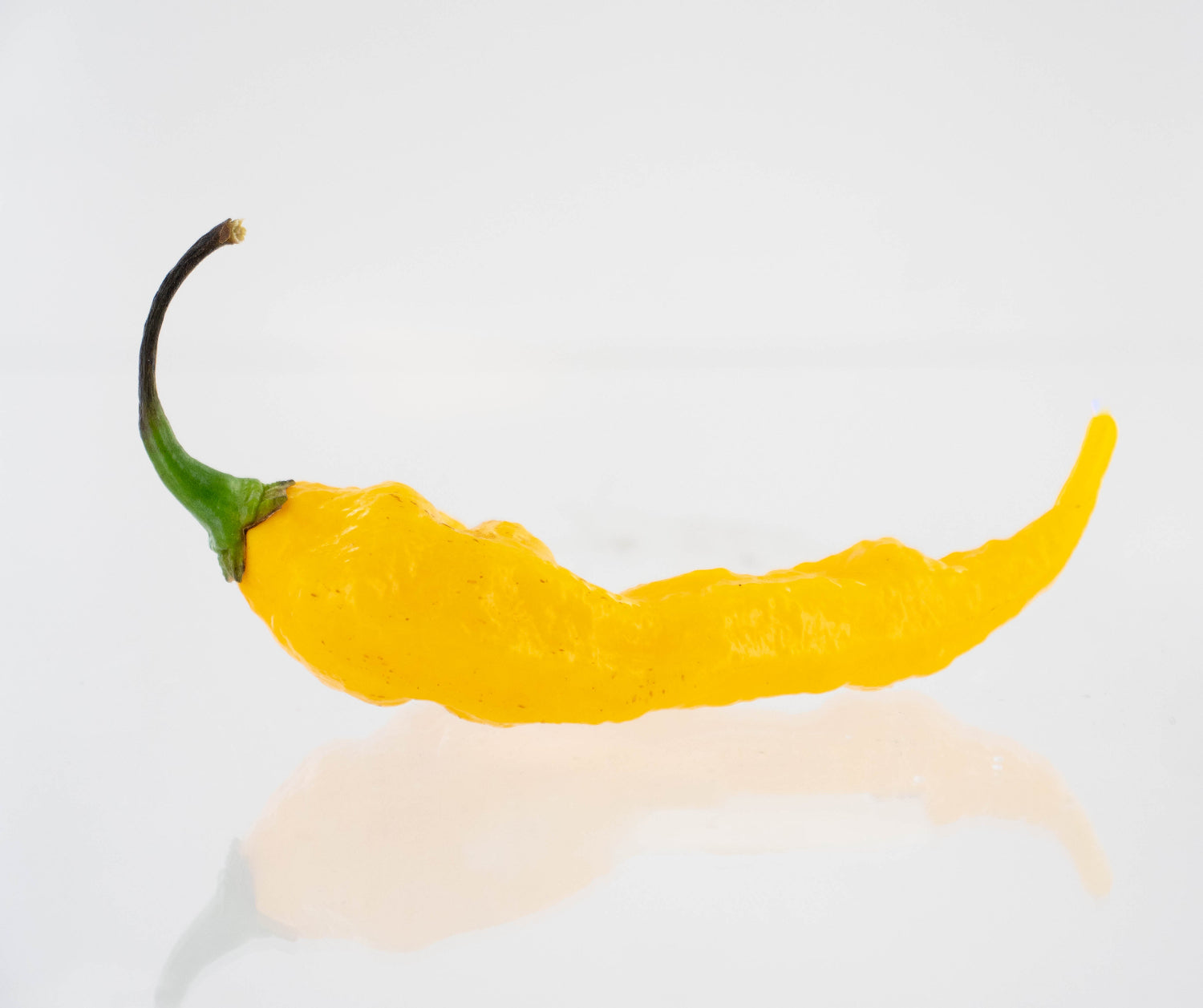 Fatalii pepper on white