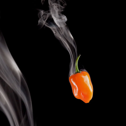 Fire in a Box Pepper Seed Collection