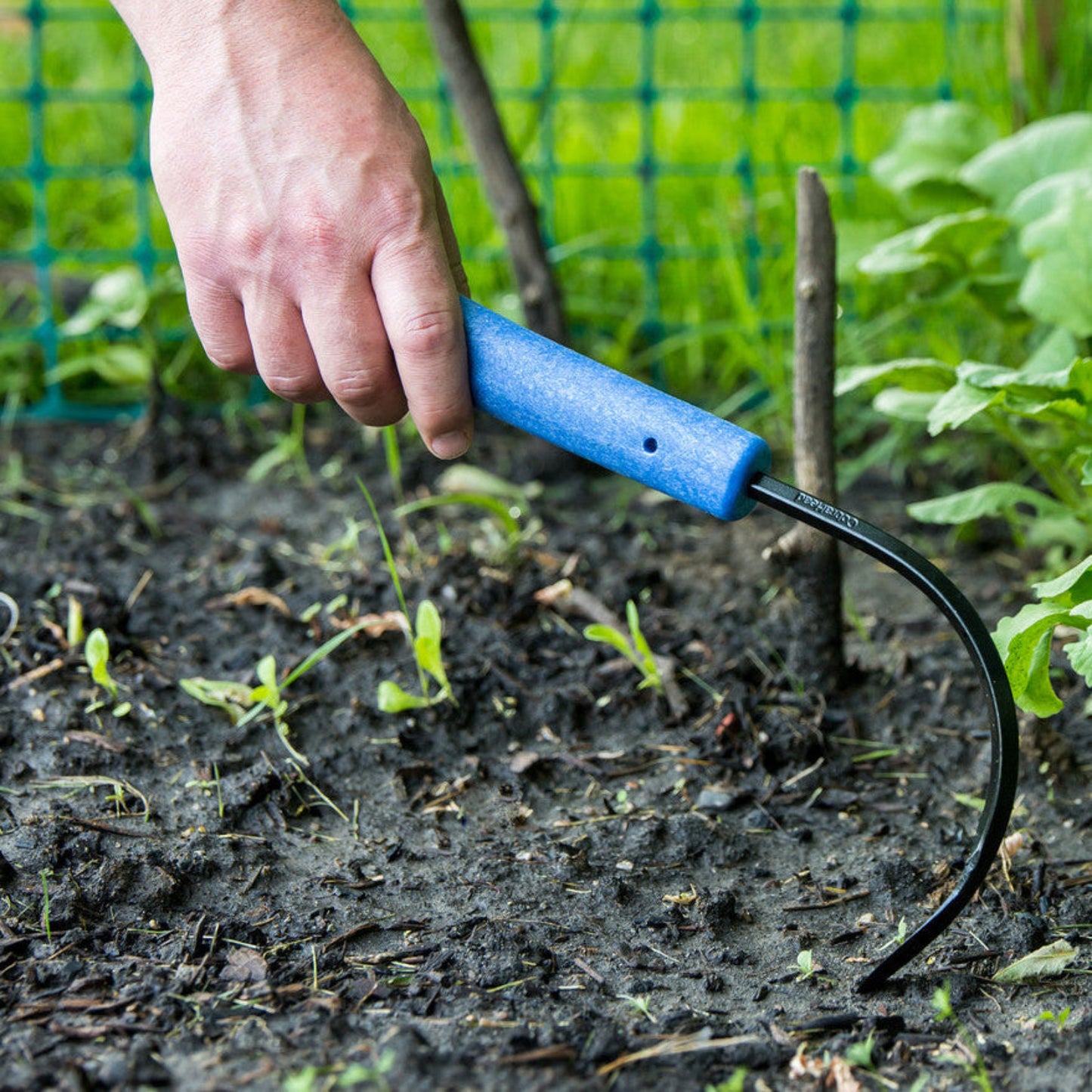Hand using a Full Size Weeder and Cultivator Hand Tool in a garden setting with green plants and soil.