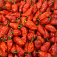 Ghost Pepper Seeds - Bhut Jolokia