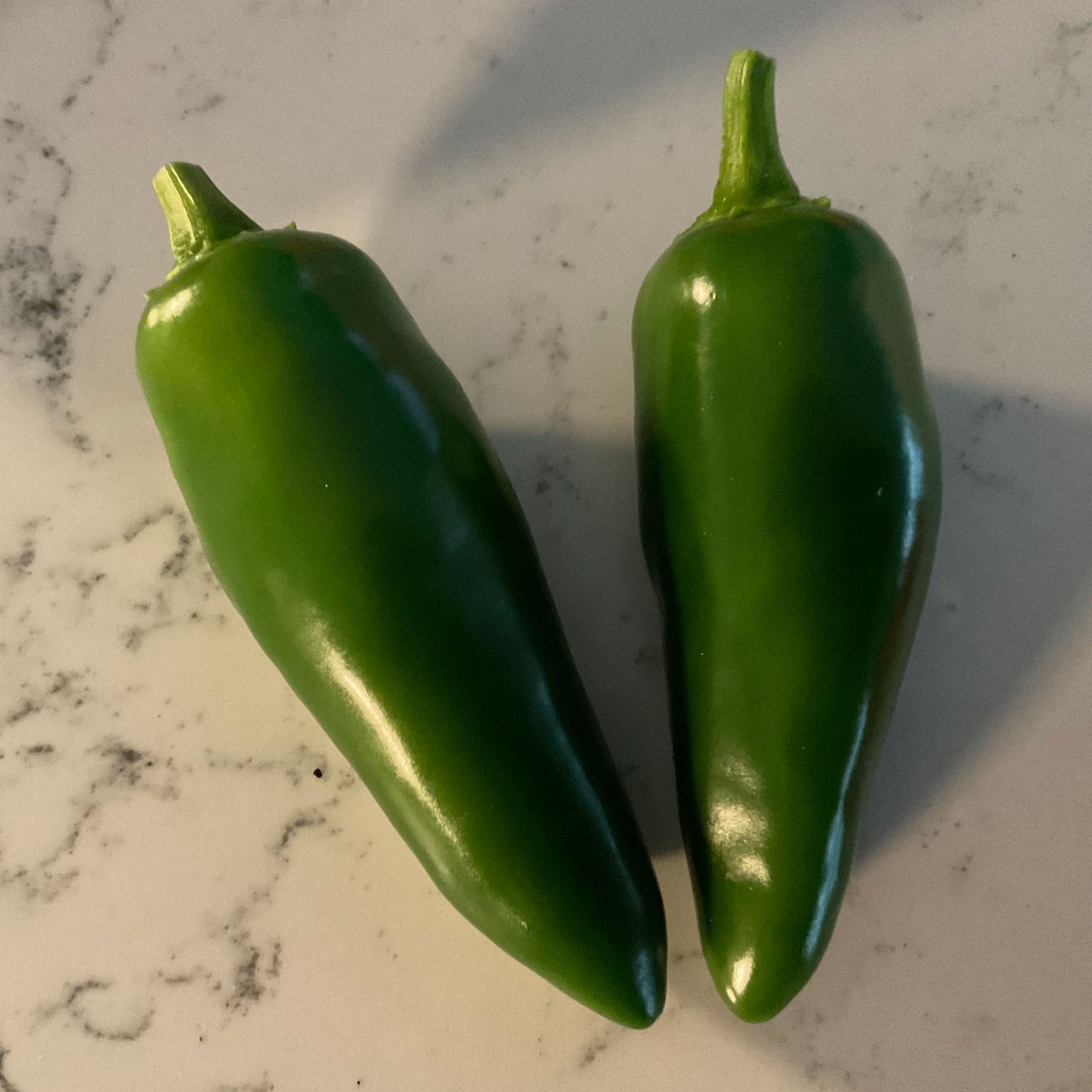 Pepper Joe's Giant Jalapeno Pepper Seeds